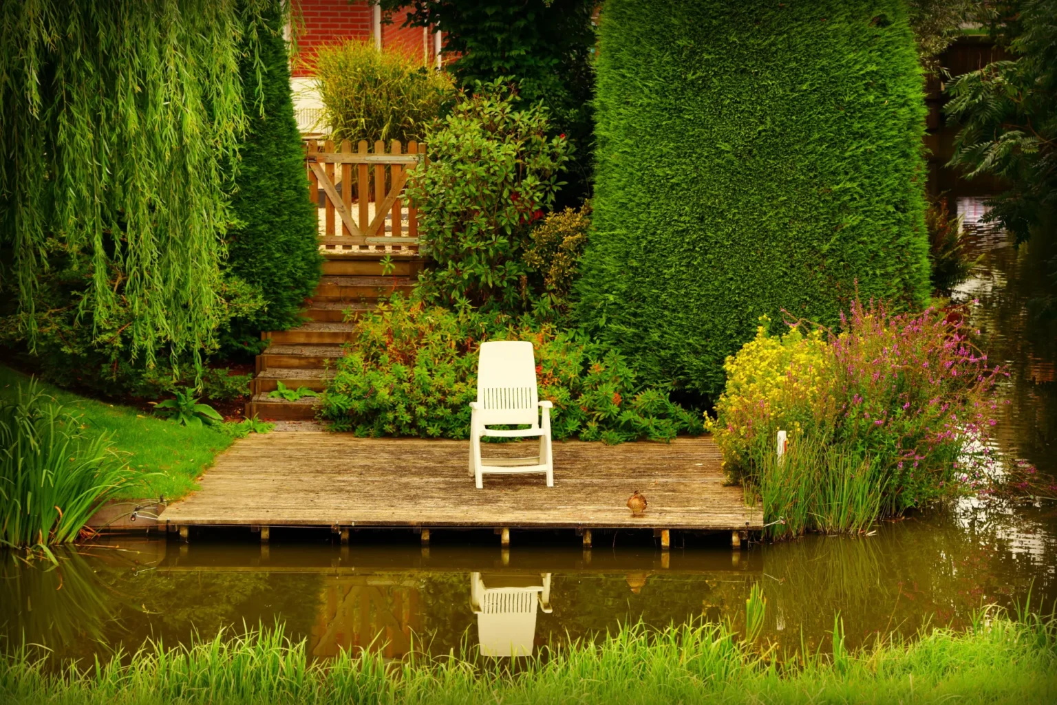 Groene aanslag terras voorkomen: praktische tips